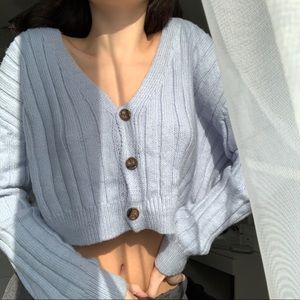 Light blue cropped sweater from garage